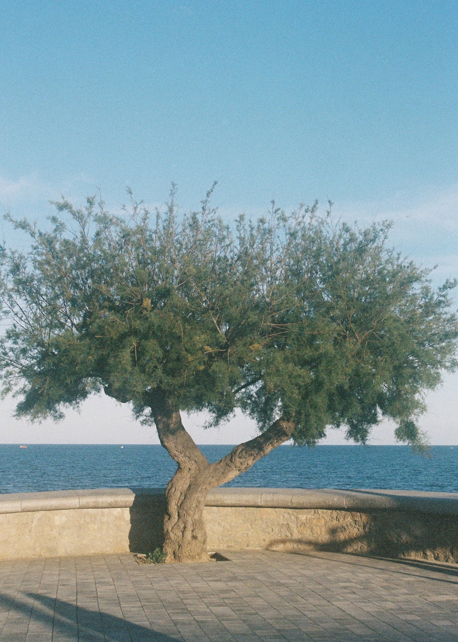 Resort Behind The Scenes