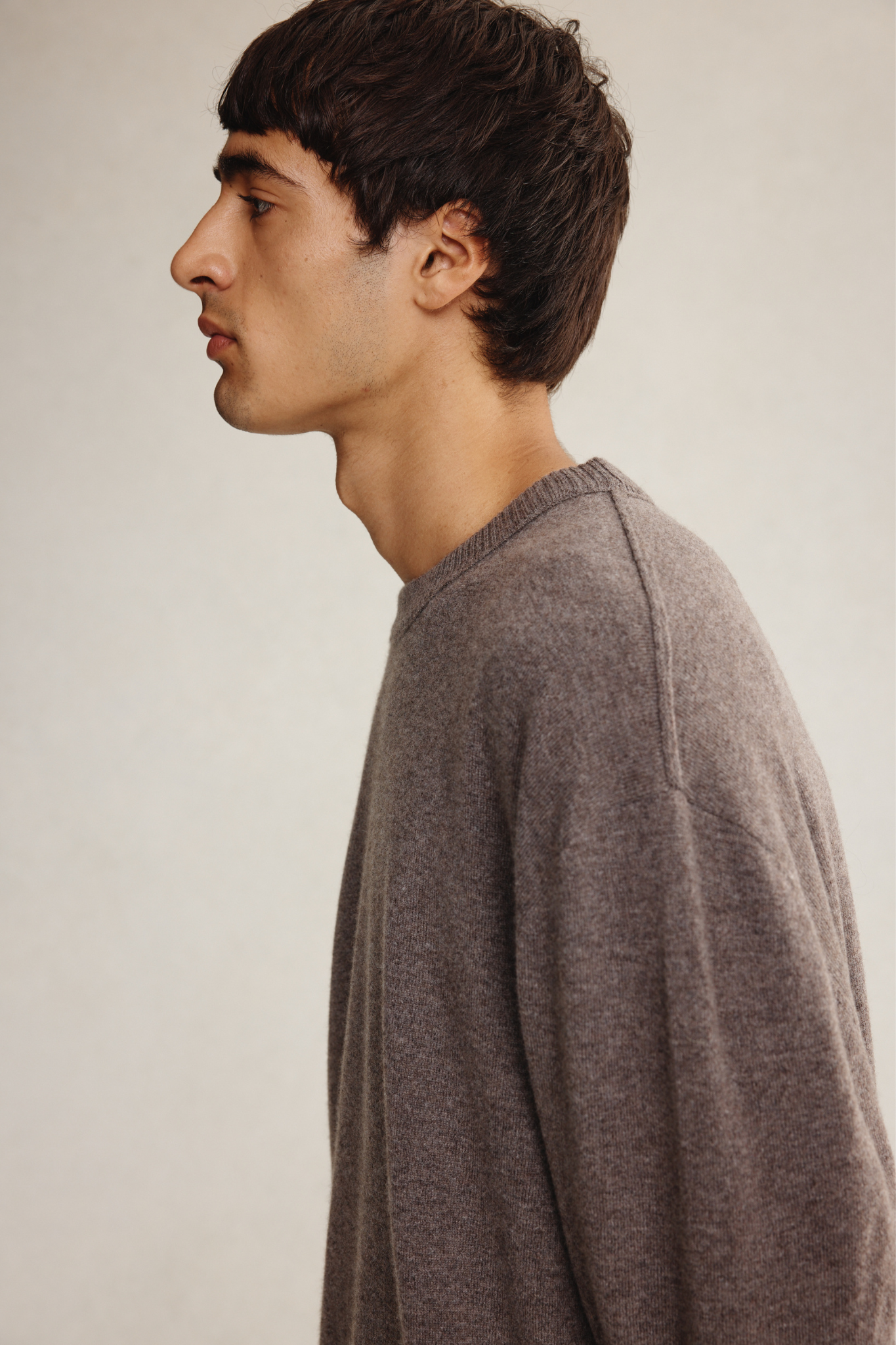 DIMITRI SWEATER - PORCINI